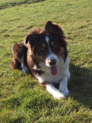 Critic's Choice (Choice).jpg (255082 bytes)