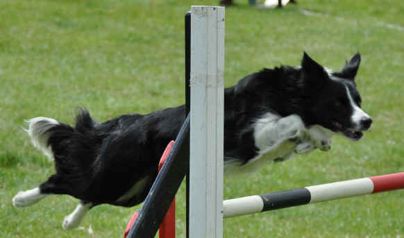 10.06.19 Kizzy.jpg (132650 bytes)