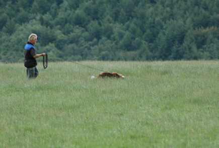 Dsc_0011.jpg (11737 bytes)