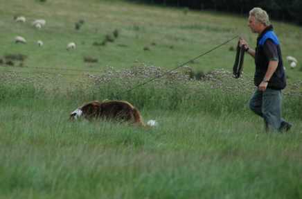 Dsc_0013.jpg (10953 bytes)