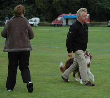 Dsc_0014.jpg (10425 bytes)