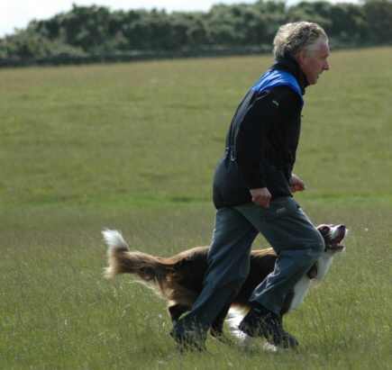 Dsc_0038.jpg (14602 bytes)