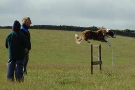 Dsc_0044.jpg (10351 bytes)