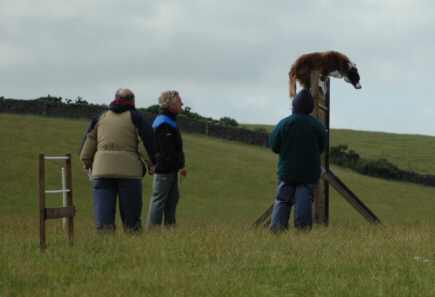 Dsc_0048.jpg (9431 bytes)