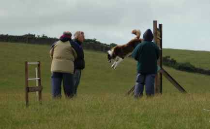 Dsc_0055.jpg (7495 bytes)