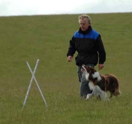 Dsc_0060.jpg (9475 bytes)