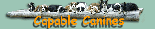 caninebanner.gif (19438 bytes)
