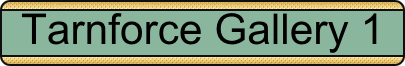tarnforcegallery1.gif (5680 bytes)