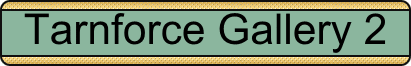 tarnforcegallery2.gif (5916 bytes)