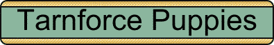tarnforcepuppies2.gif (3851 bytes)